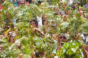 La Rama fiesta in Gran Canaria